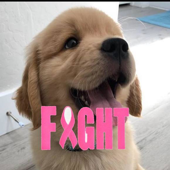 Meet your Posher, Corinne - Picture 1 of 1